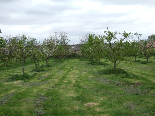 2015_0515orchardsclgwales0006